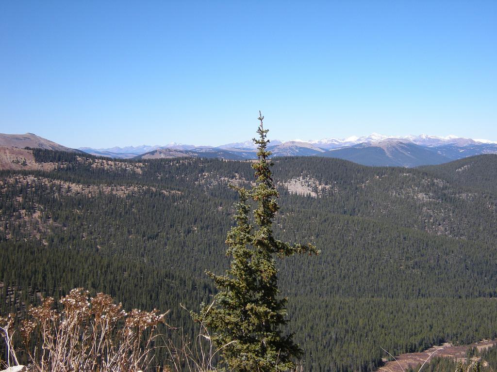 fall09 035